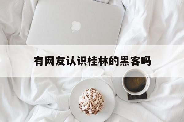 有网友认识桂林的黑客吗（桂林电子科技大学黑客）