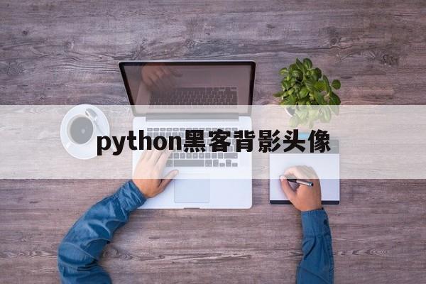 python黑客背影头像（黑客头像男生）