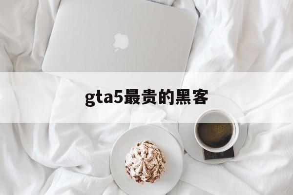 gta5最贵的黑客（gta5抢劫黑客重要吗）