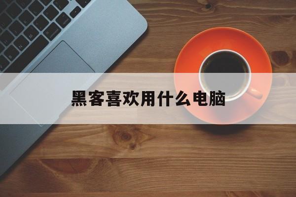 黑客喜欢用什么电脑（电脑黑客可以做什么）