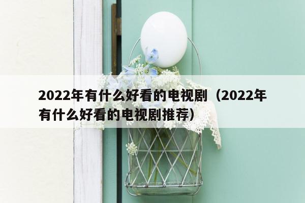 2022年有什么好看的电视剧（2022年有什么好看的电视剧推荐）