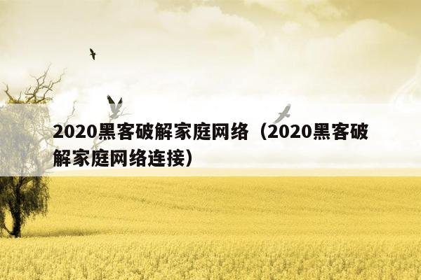 2020黑客破解家庭网络（2020黑客破解家庭网络连接）