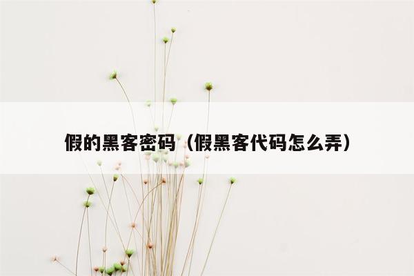 假的黑客密码（假黑客代码怎么弄）