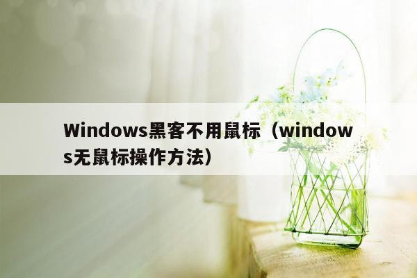 Windows黑客不用鼠标（windows无鼠标操作方法）