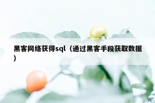 黑客网络获得sql（通过黑客手段获取数据）