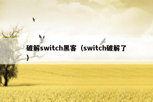 破解switch黑客（switch破解了）