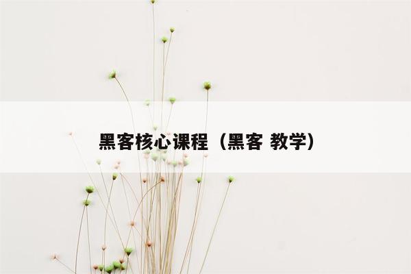 黑客核心课程（黑客 教学）