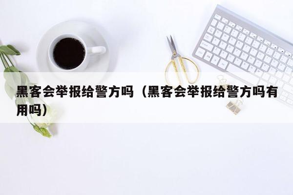 黑客会举报给警方吗（黑客会举报给警方吗有用吗）