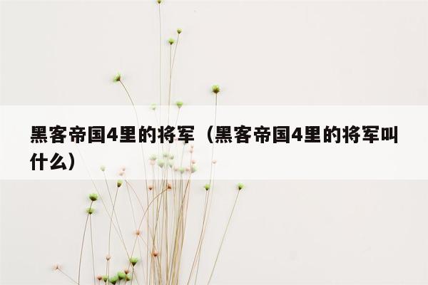 黑客帝国4里的将军（黑客帝国4里的将军叫什么）