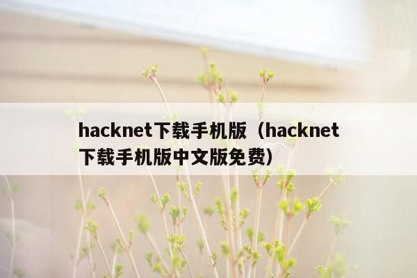 hacknet下载手机版（hacknet下载手机版中文版免费）