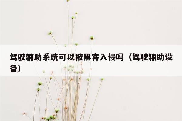 驾驶辅助系统可以被黑客入侵吗（驾驶辅助设备）