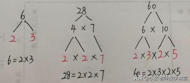 五年级数学：分解质因数，你学会了吗？教你几招，轻轻松松掌握