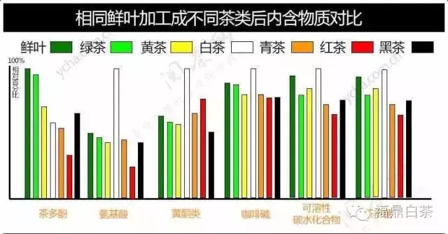 白茶中黄酮的神奇功效