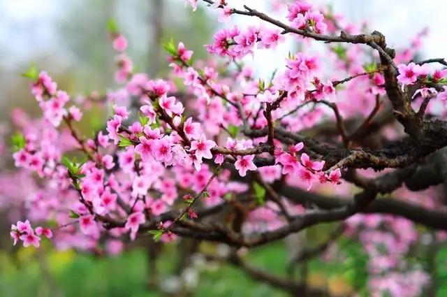 2019中国生物工程学专业大学排名 前二十强出炉！