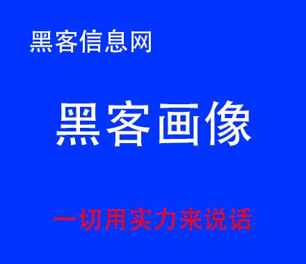 哪里有盗qq黑客高手电话(穿越全职高手之黑客)