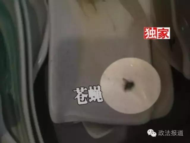 特攻组｜季季红火锅豆芽煮长发，餐盘现苍蝇，卫生乱象令人作呕