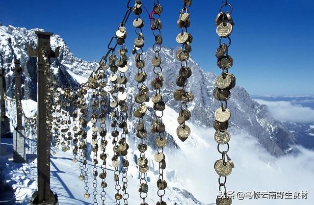 要去丽江玉龙雪山旅游的朋友们可以看看哟