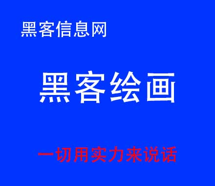 哪个软件可以找黑客-电脑黑客技术新手入门(电脑黑客技术新手入门下载)