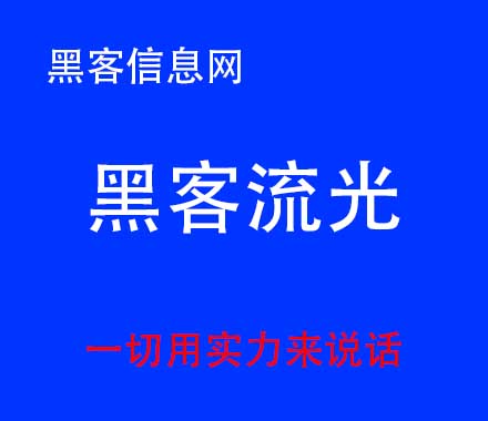 苹果手机进入黑客代码模式(苹果手机进入工程模式)-中文版超强黑客工具箱