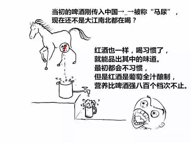 为什么你会感觉红酒不好喝，原来是你没喝对！