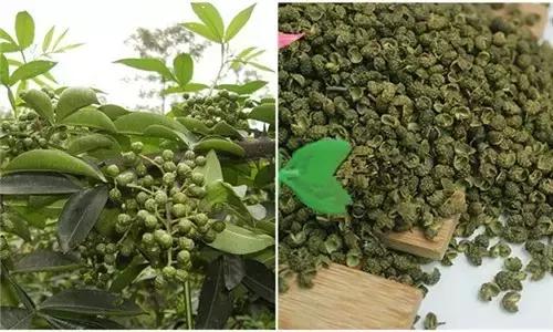 17种川菜用的特殊香料，你见过多少种？