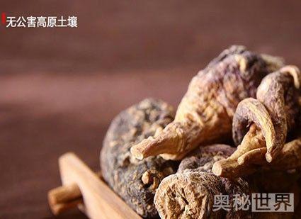 玛卡的功效与作用,玛卡怎么吃