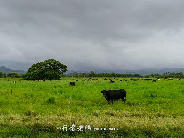 斐济为什么是世界上最幸福的国度？