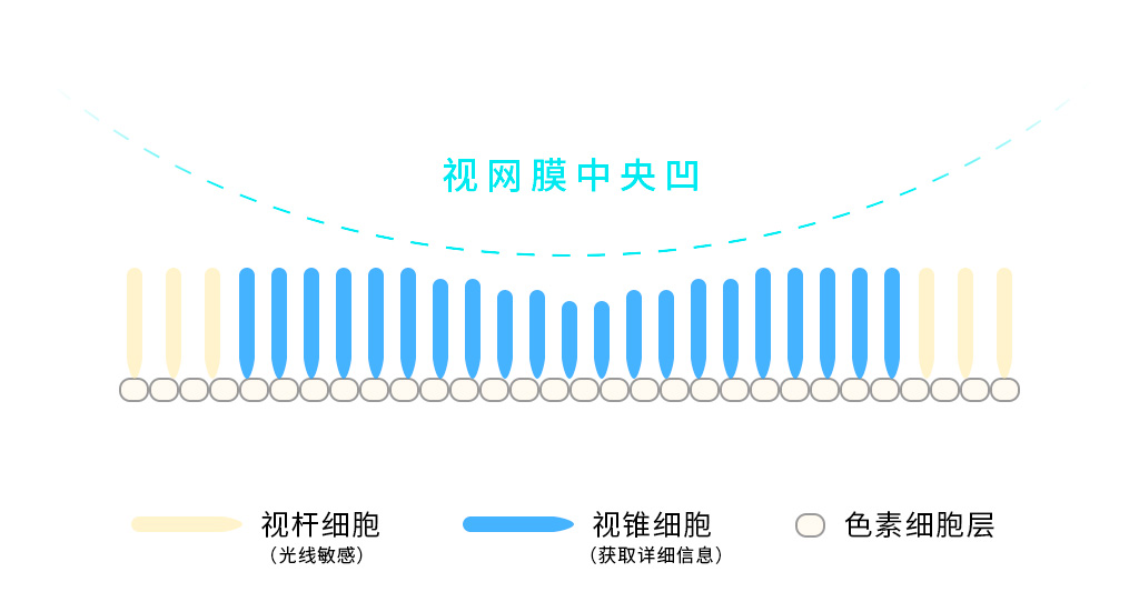 VR交互设计（三）：陶醉感要素拆解（上）