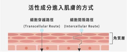 化妆水要不要用，怎么用？