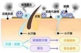 冬天宜治香港脚？没错！这样做断根不复发！