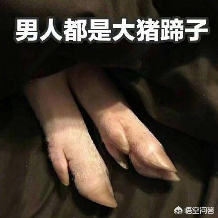 网络用语大猪蹄子是什么意思？你知道吗？