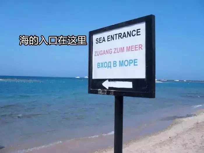 盘货｜海表里神奇的口号文案