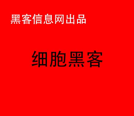 黑客解锁苹果id教程6s(黑客破解苹果id锁)