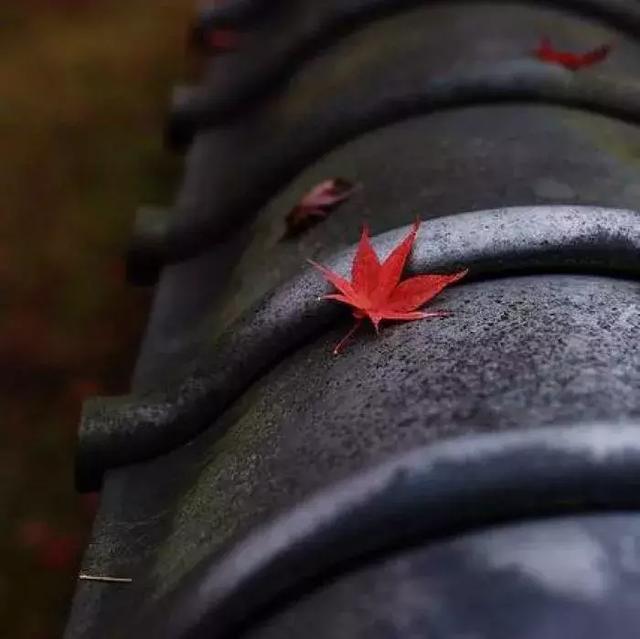 如果事与愿违，请相信一定另有安排