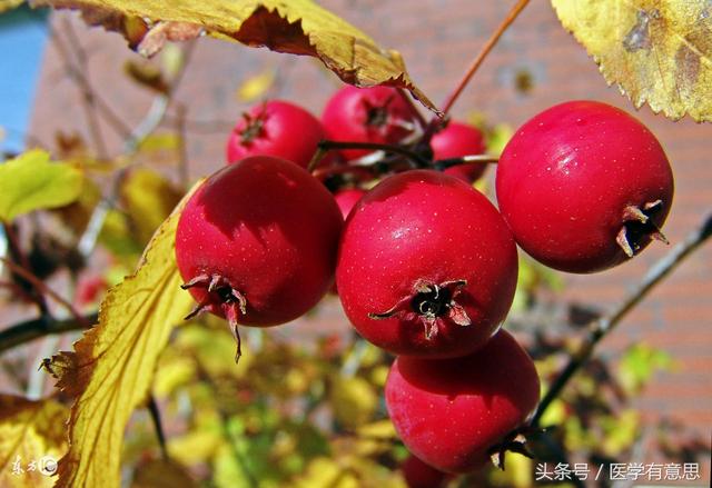 晚上吃这4种东西，睡觉也能减肥燃脂，10天瘦掉15斤