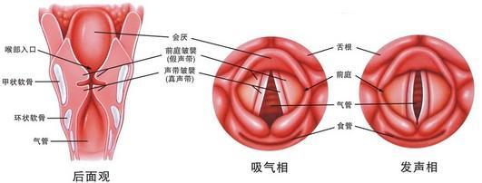 咽喉炎最佳治疗方法 这些小偏方治疗咽喉炎超管用