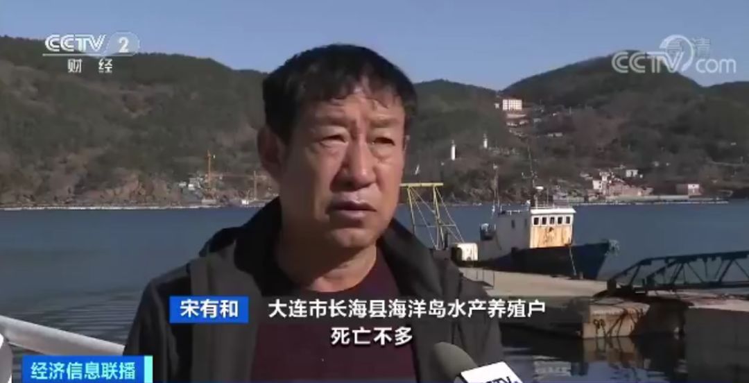 獐子岛已暂停播苗怎么回事？獐子岛暂停播苗的原因是什么