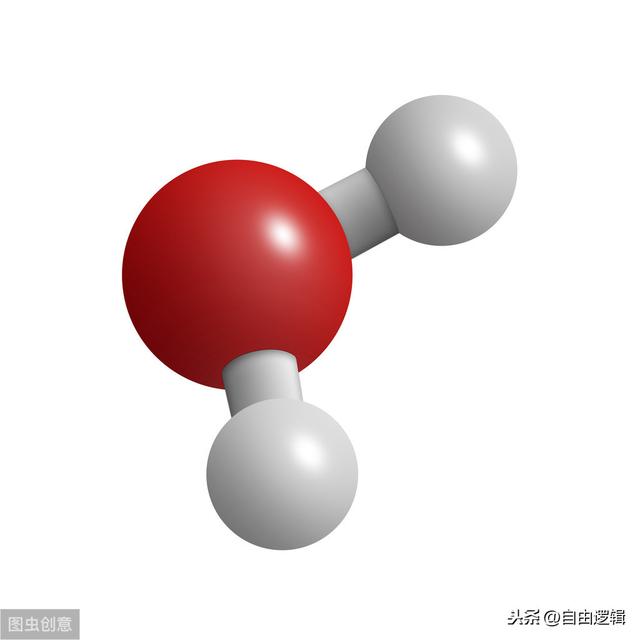 “神经共价键”是人类为什么可以理解的重要结构之一