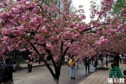 合肥十大旅游景点排行榜最新版本