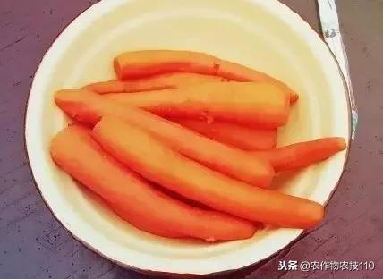 胡萝卜用油炒等于白吃？这样吃，护心通血管，缓解眼疲劳