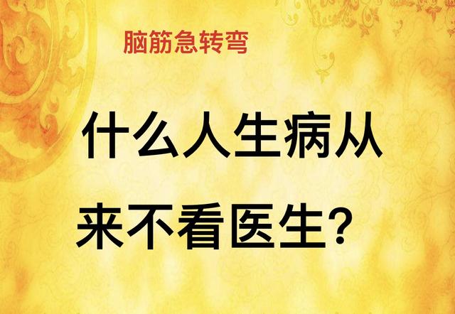 智力挑战：什么路最窄？脑筋急转弯等你来