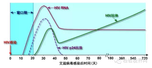 什么是“窗口期”？“窗口期”和潜伏期一样吗？