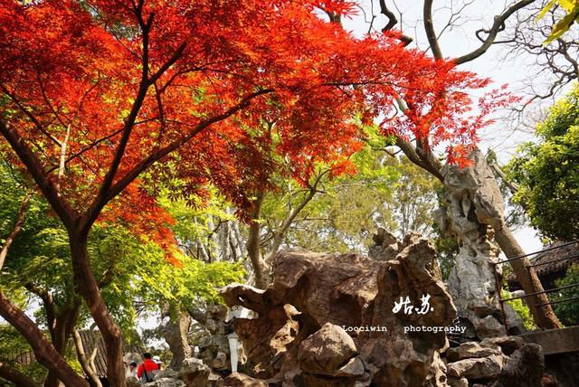 苏州十大好玩的地方排行榜（苏州10大必玩景点）