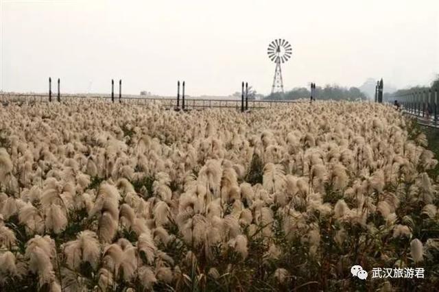 武汉最值得去的12个景点，缺一个就等于白来！