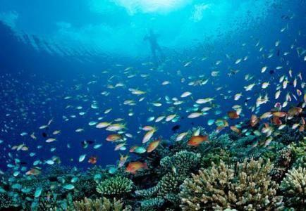 马尔代夫的水质，帕劳的岛礁，去马代和帕劳不如去这座处女岛！