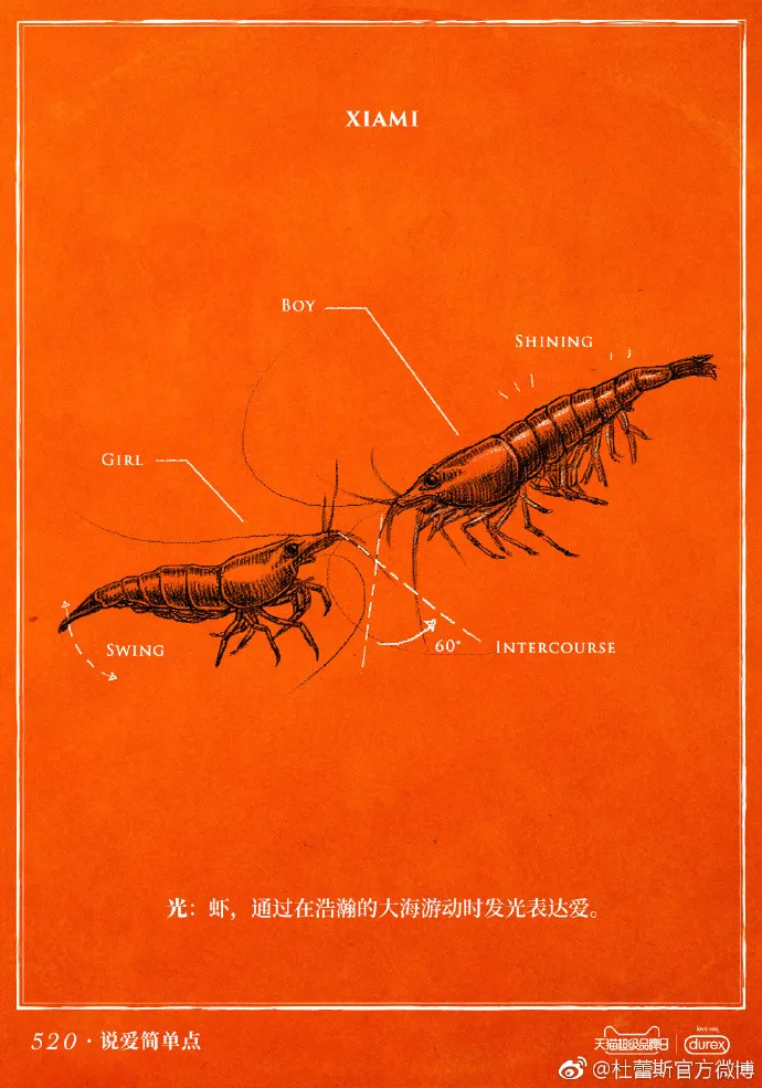 520，看杜蕾斯如何批注？