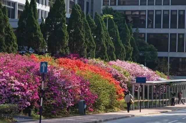 中国最美的十五所大学