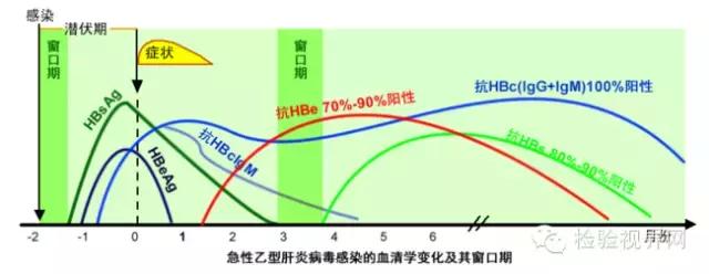 什么是“窗口期”？“窗口期”和潜伏期一样吗？