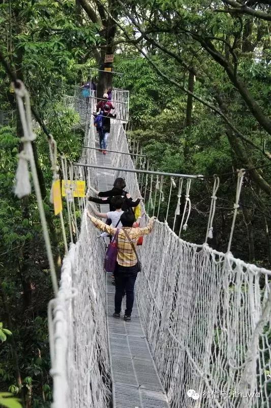 所有人！厦门热门景区降价！植物园、鼓浪屿、金光湖……太省钱了！