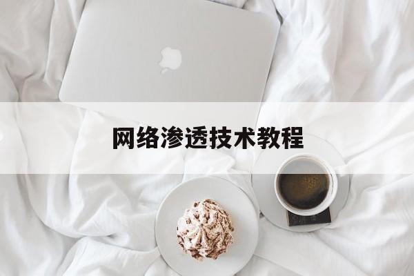 网络渗透技术教程（网络渗透技术pdf）